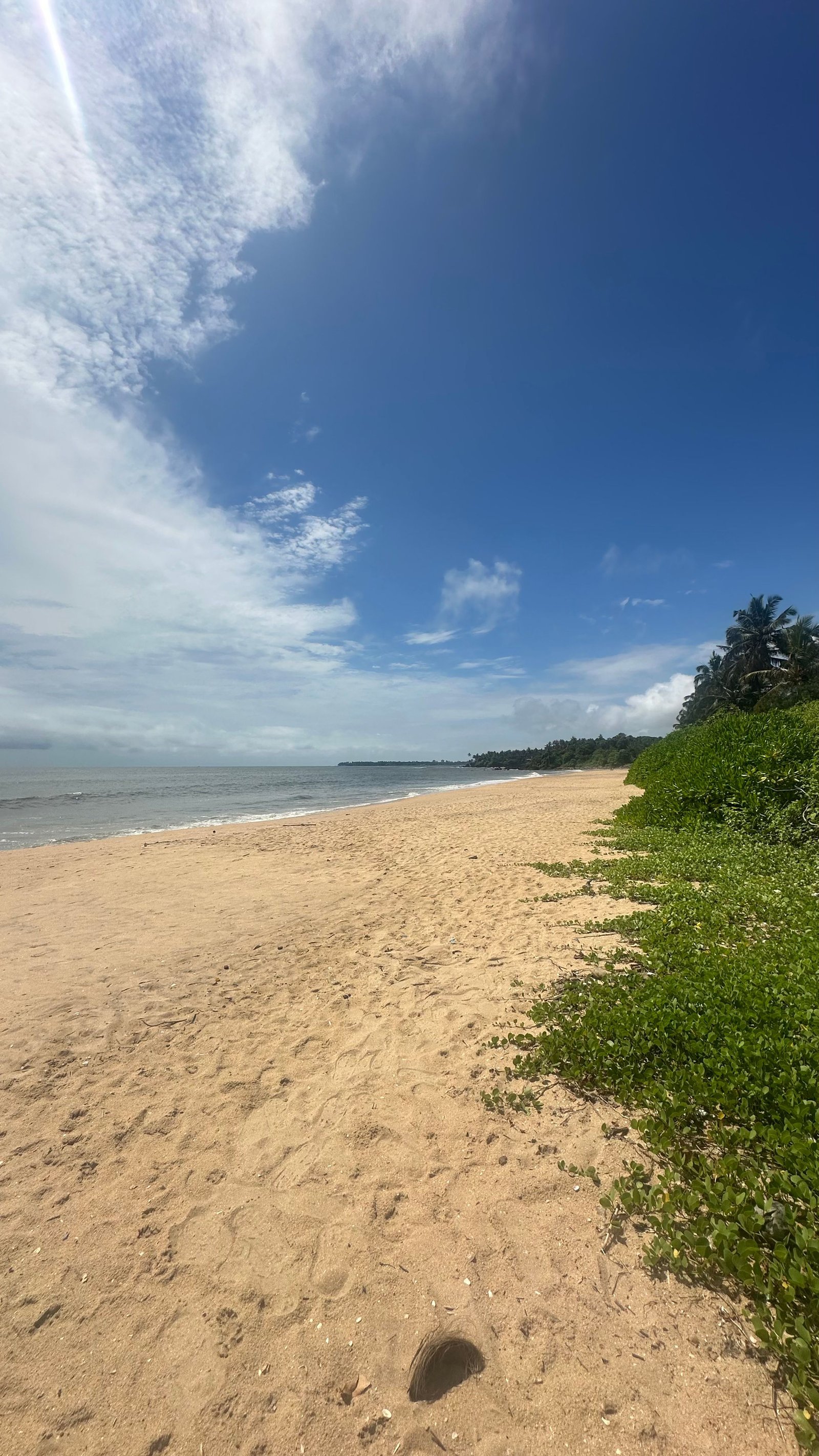 Beach View